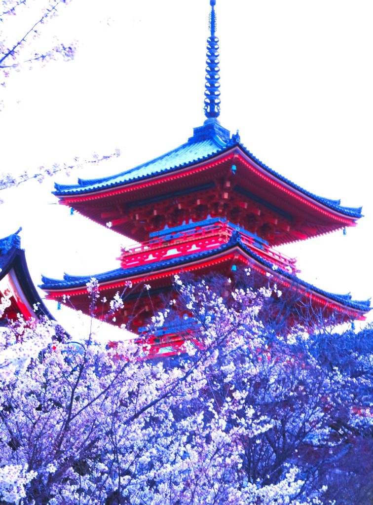 清水寺桜②AAAA