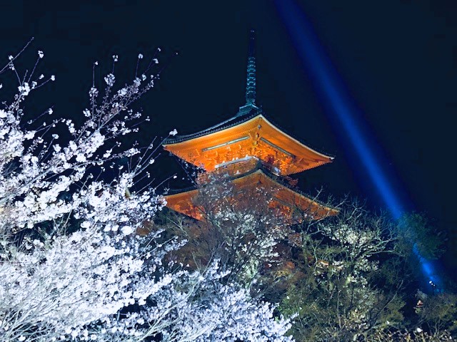 清水寺夜桜AAA