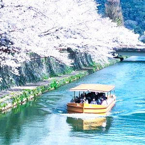 白川　琵琶湖疎水A