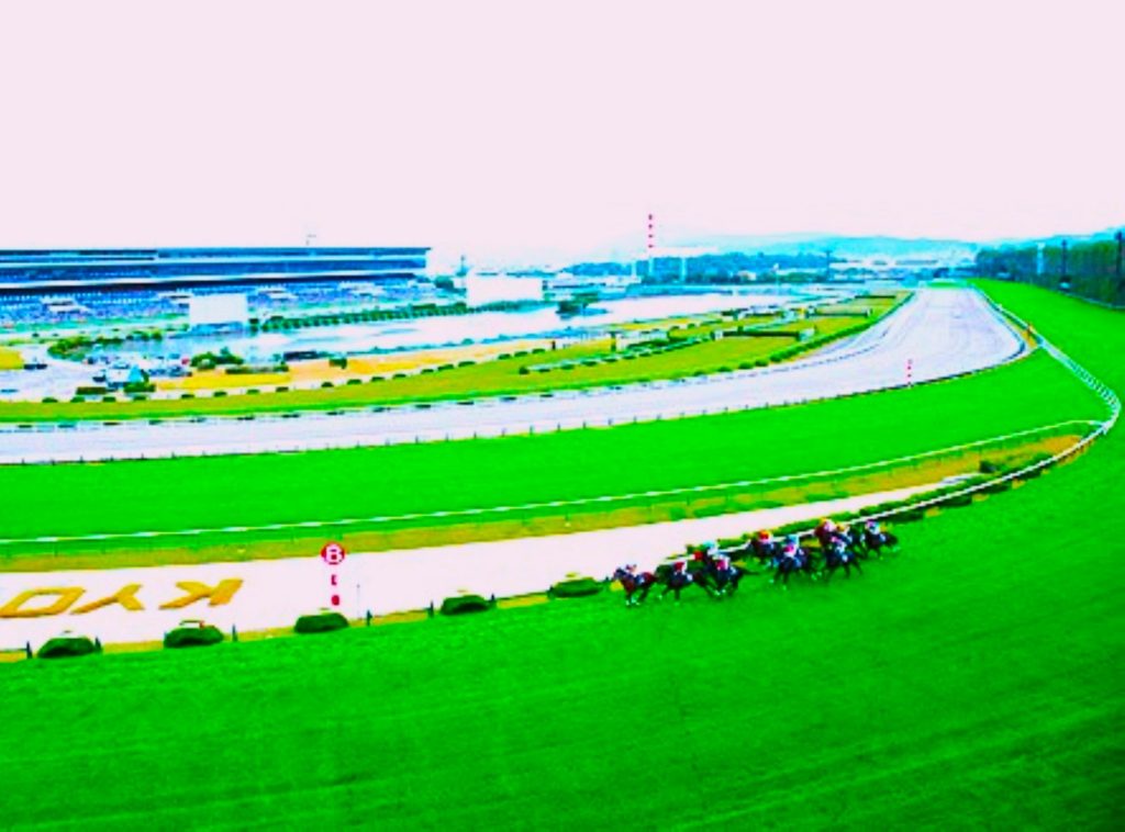 京都競馬場JRA 池写真A