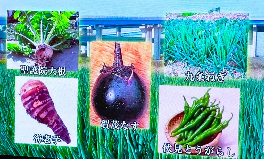 巨椋池の京野菜A
