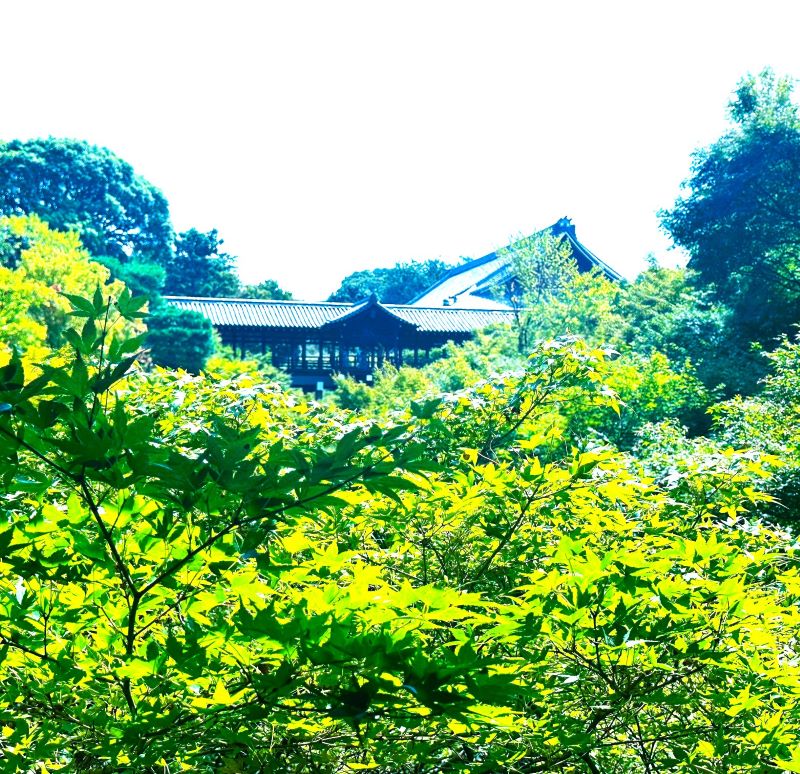 東福寺通天橋ⅰ