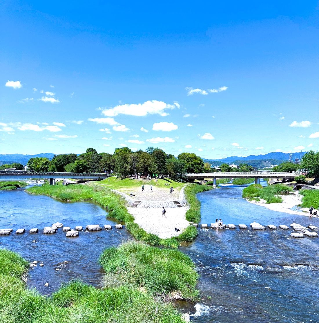 鴨川・丸太橋