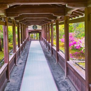 天龍寺⑯i