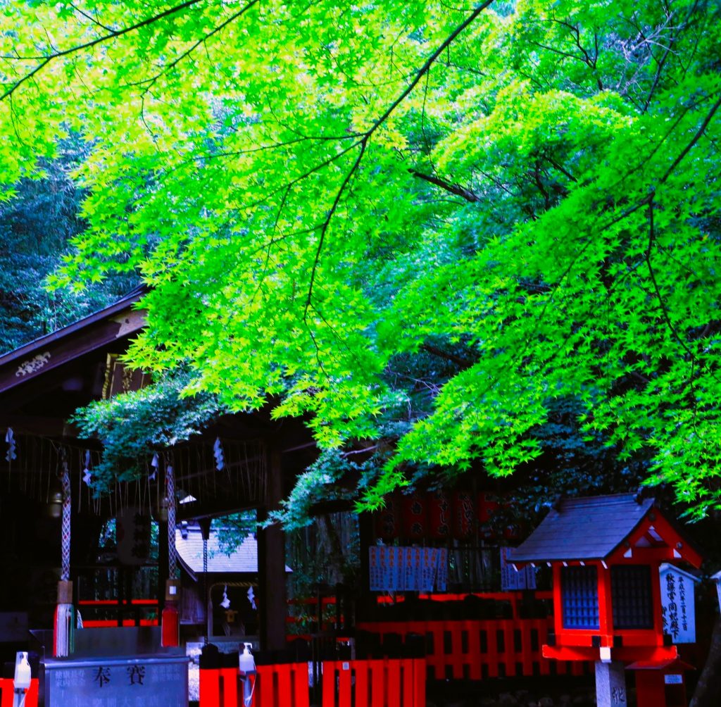 野宮神社Ai