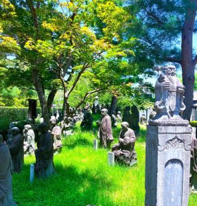 嵯峨野i