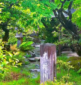 天龍寺⑭i