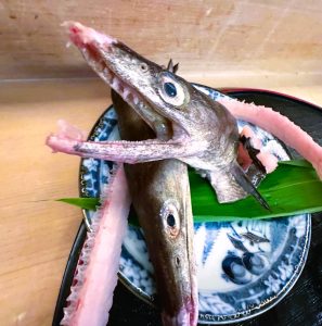由兵衛さん　鱧口③
