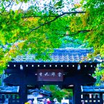 常寂光寺②