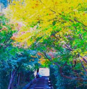 ねねの道➀AAi