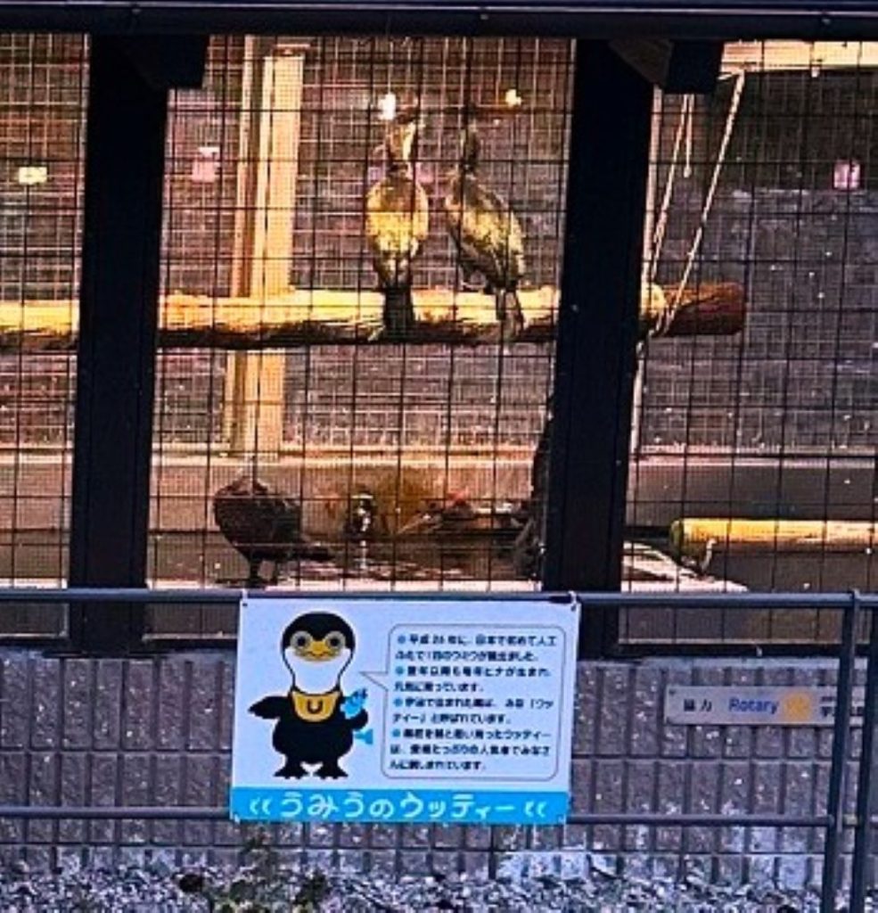 うみうのウッティーi