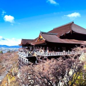 清水寺㉚ATi