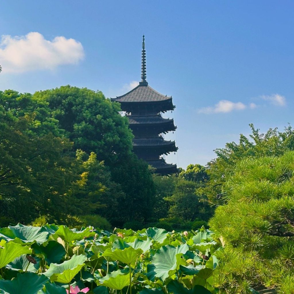 東寺⑥A