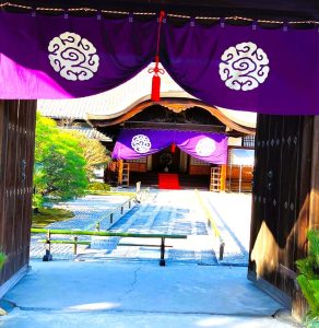 東寺②i