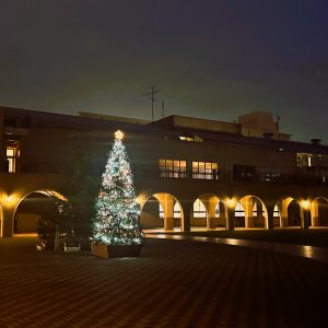 ノートルダムクリスマス