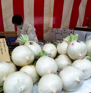 聖護院だいこん