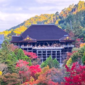 清水寺紅葉