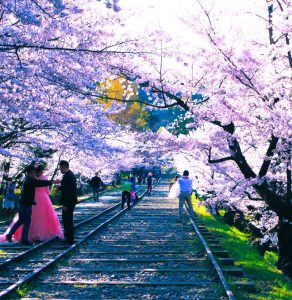 蹴上インクラインNi